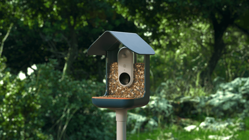 Bird Buddy's hi-tech bird feeder.