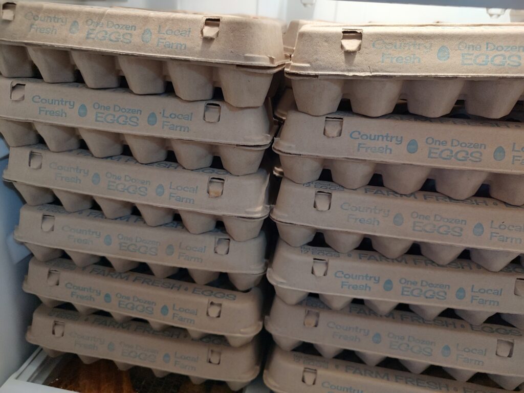 stacks of egg cartons in refrigerator