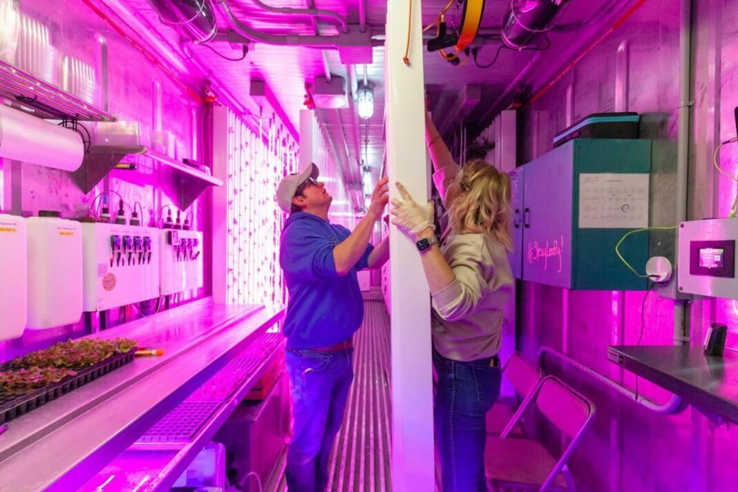 two people transplanting seeds to a hydroponic tower